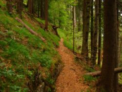 2013-06-22_Hirschhoerndl_Jochberg (401).JPG